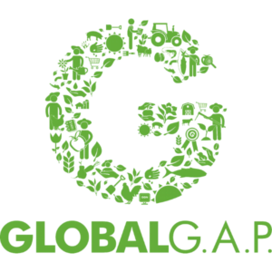 globalk gap globalk gap