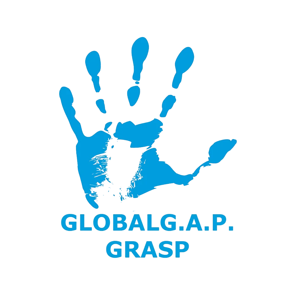 grasp grasp
